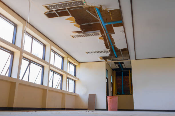 Best Water damage repair service  in Holbrook, AZ