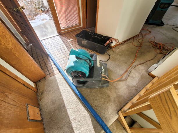 Best Commercial water damage restoration  in Holbrook, AZ