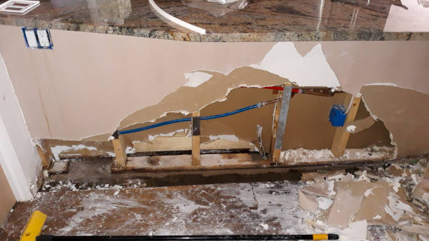 Best Water damage restoration process  in Holbrook, AZ