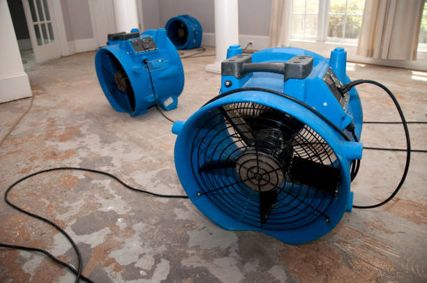Holbrook, AZ Water damage restoration Company