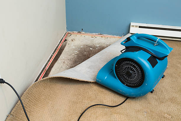 Best Water damage restoration cost  in Holbrook, AZ